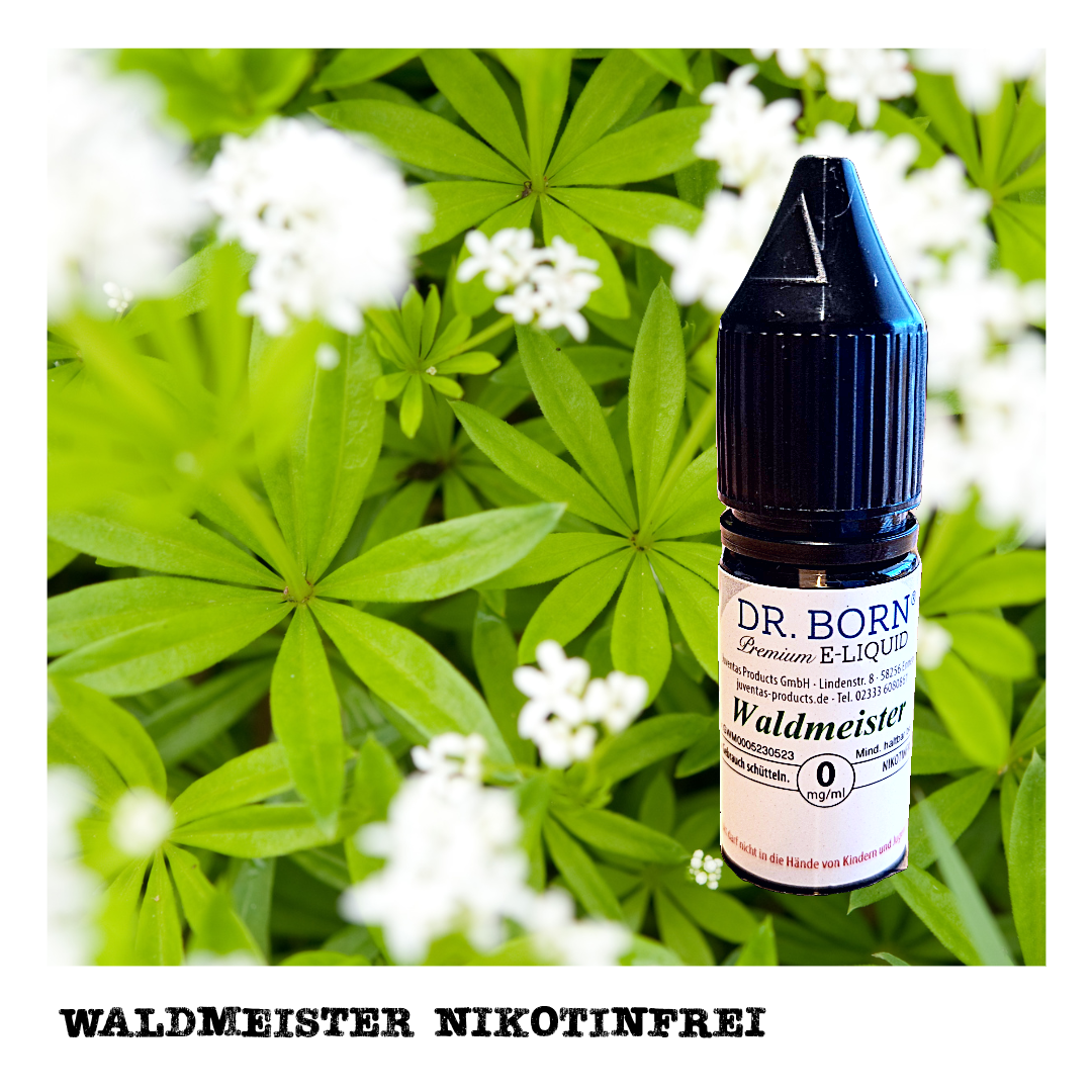 Waldmeister 10ml NIKOTINFREI