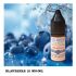 Blaubeere 10ml 12mg/ml 